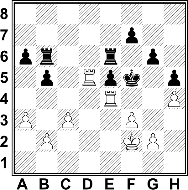 Białe: Kf2, Wd5, We4, a3, b2, c3, f3, g2, h4. Czarne: Kf5, Wb6, We6, a6, b5, e5, f7, g6, h5